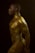 A side profile of a person with a muscular build covered in gold body paint. The image features dramatic lighting that highlights the contours of the body against a dark background, creating a striking visual contrast.