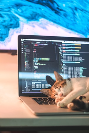 A cat is peacefully sleeping on an open laptop which displays code on the screen. The background features a vivid blue design, possibly a digital artwork or wallpaper.