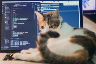 a cat laying on top of a laptop computer