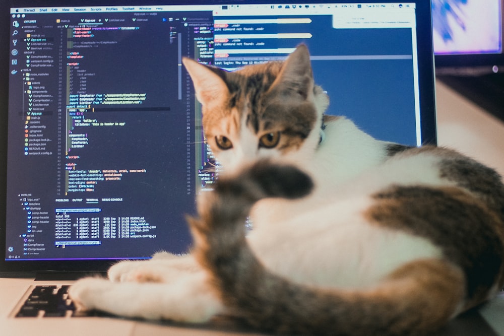 a cat laying on top of a laptop computer