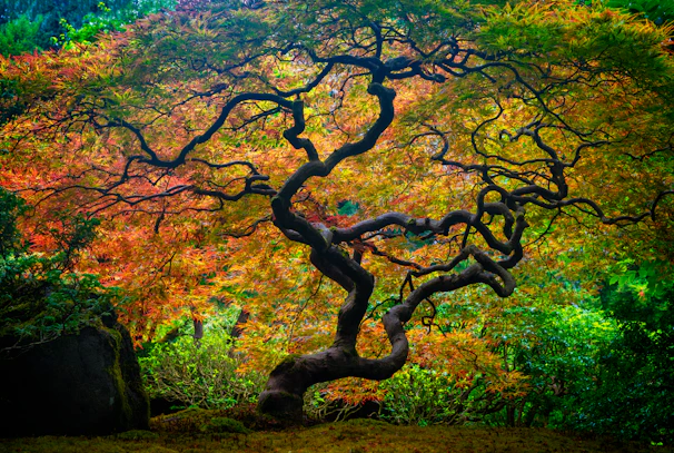 A majestic golden tree with sprawling branches, set against an ancient parchment background.