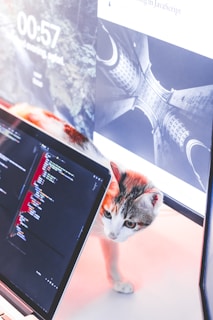 A cat is curiously looking at a laptop displaying code and another screen showing an architectural design.