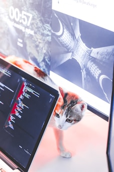 A cat is curiously looking at a laptop displaying code and another screen showing an architectural design.
