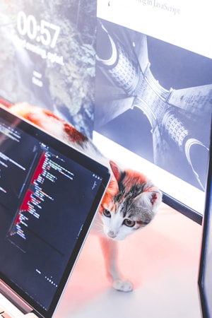 A cat is curiously looking at a laptop displaying code and another screen showing an architectural design.