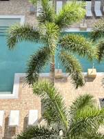 Outdoor pool area surrounded by lush greenery and terracotta tiles at sunset.