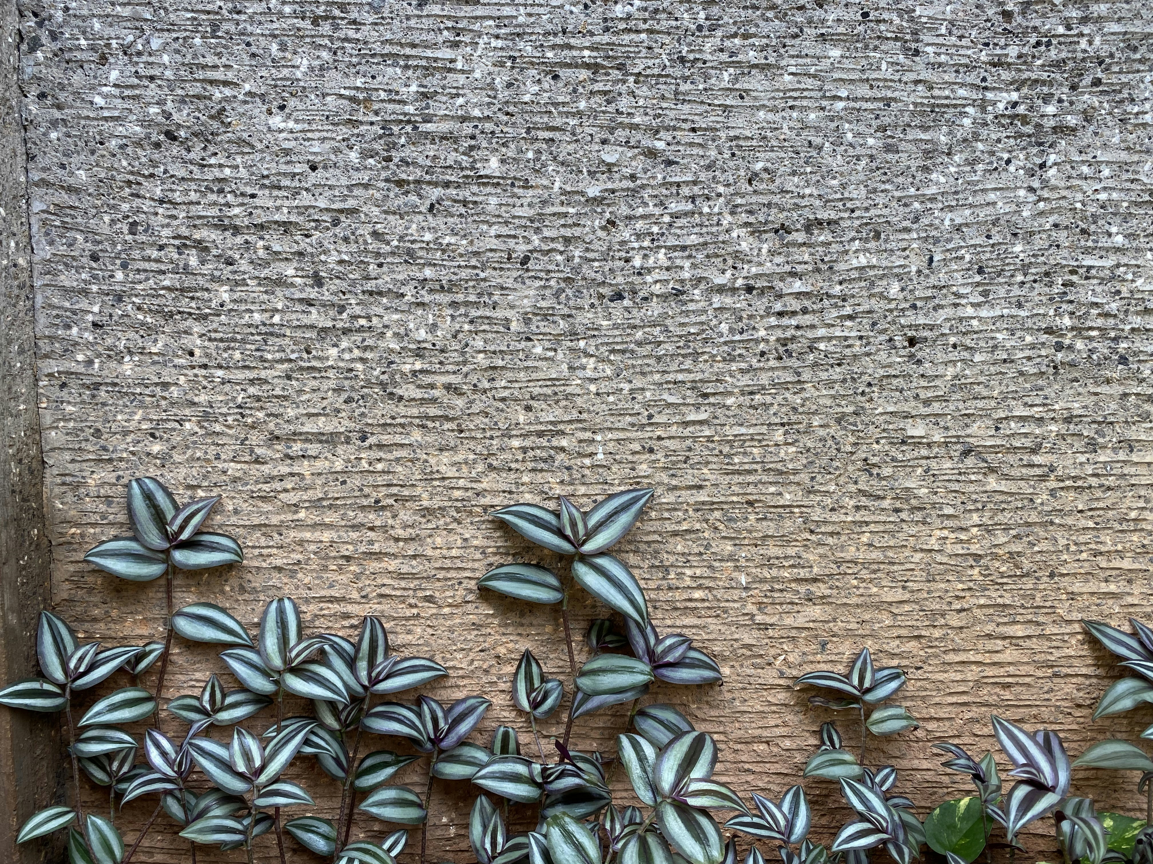 mediterranean patio wallpaper, wallpaper, Mediterranean Patio Ideas: Outdoor Living Bliss 6