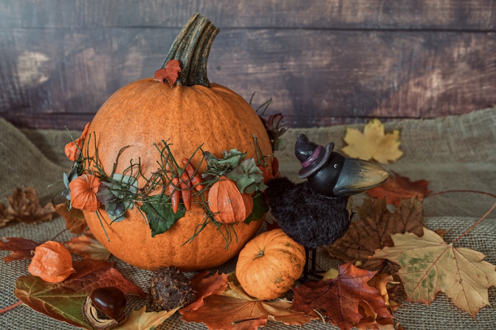 a pumpkin with a black mouse on top of it