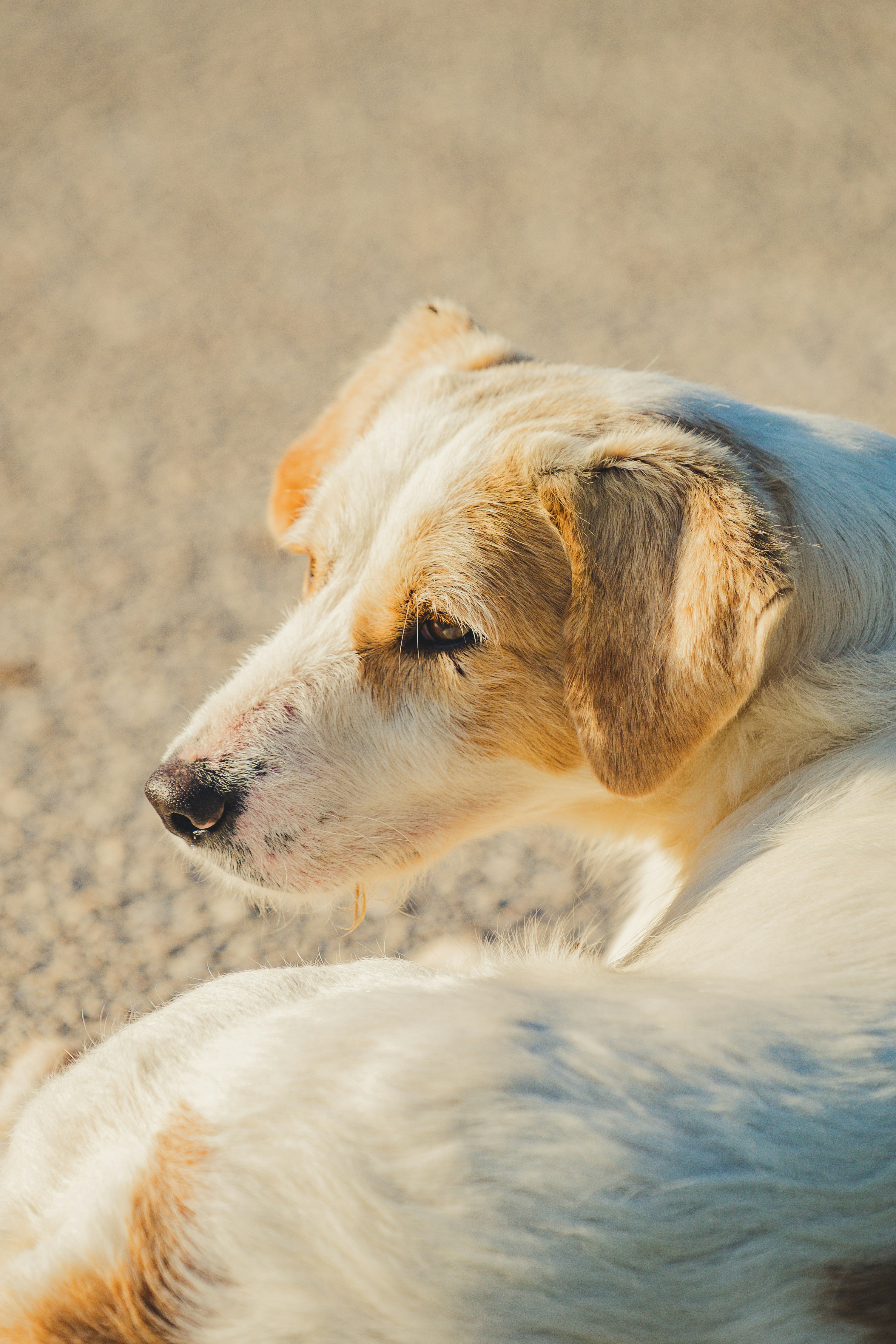 Photo by theverticalstory