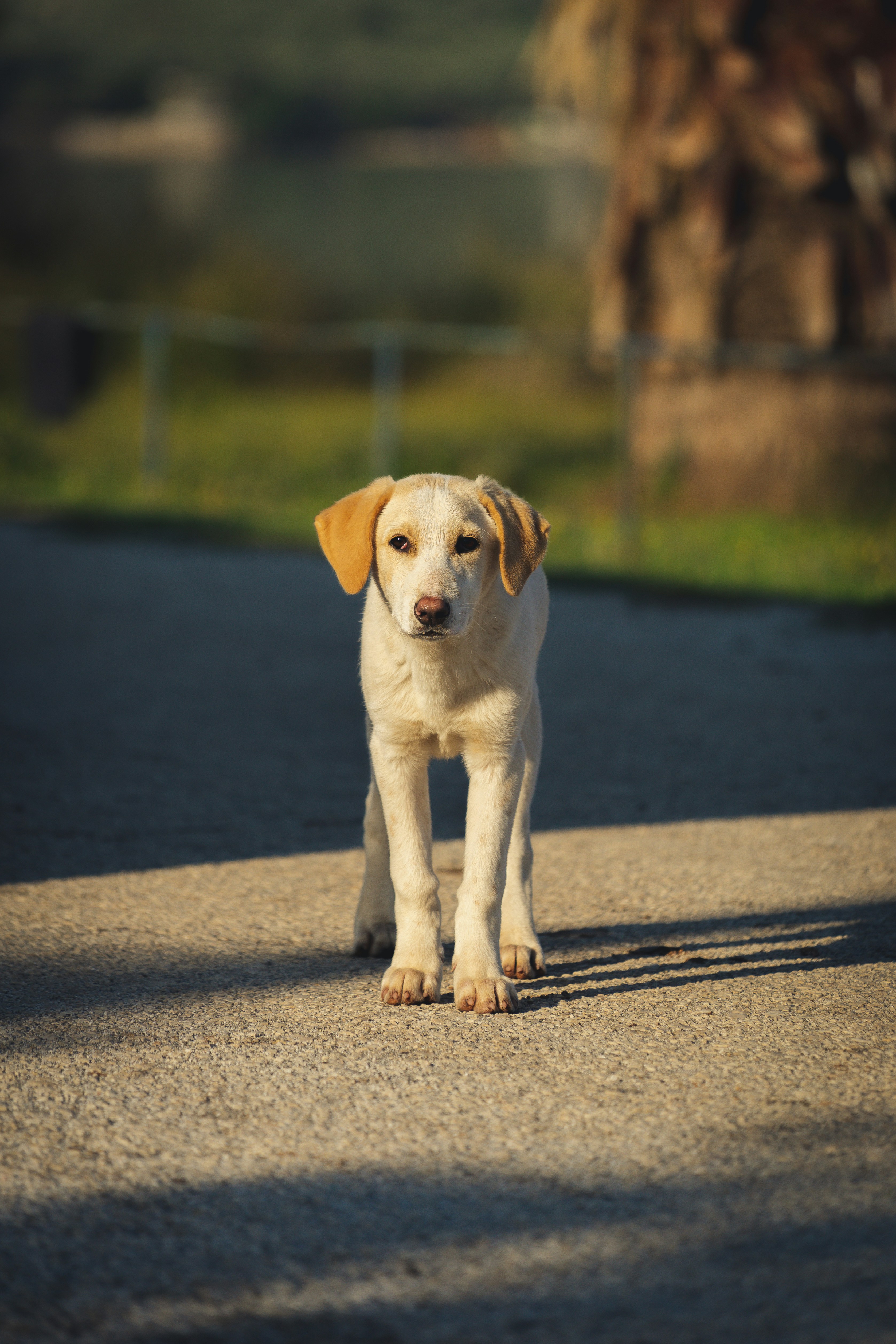 Photo by theverticalstory