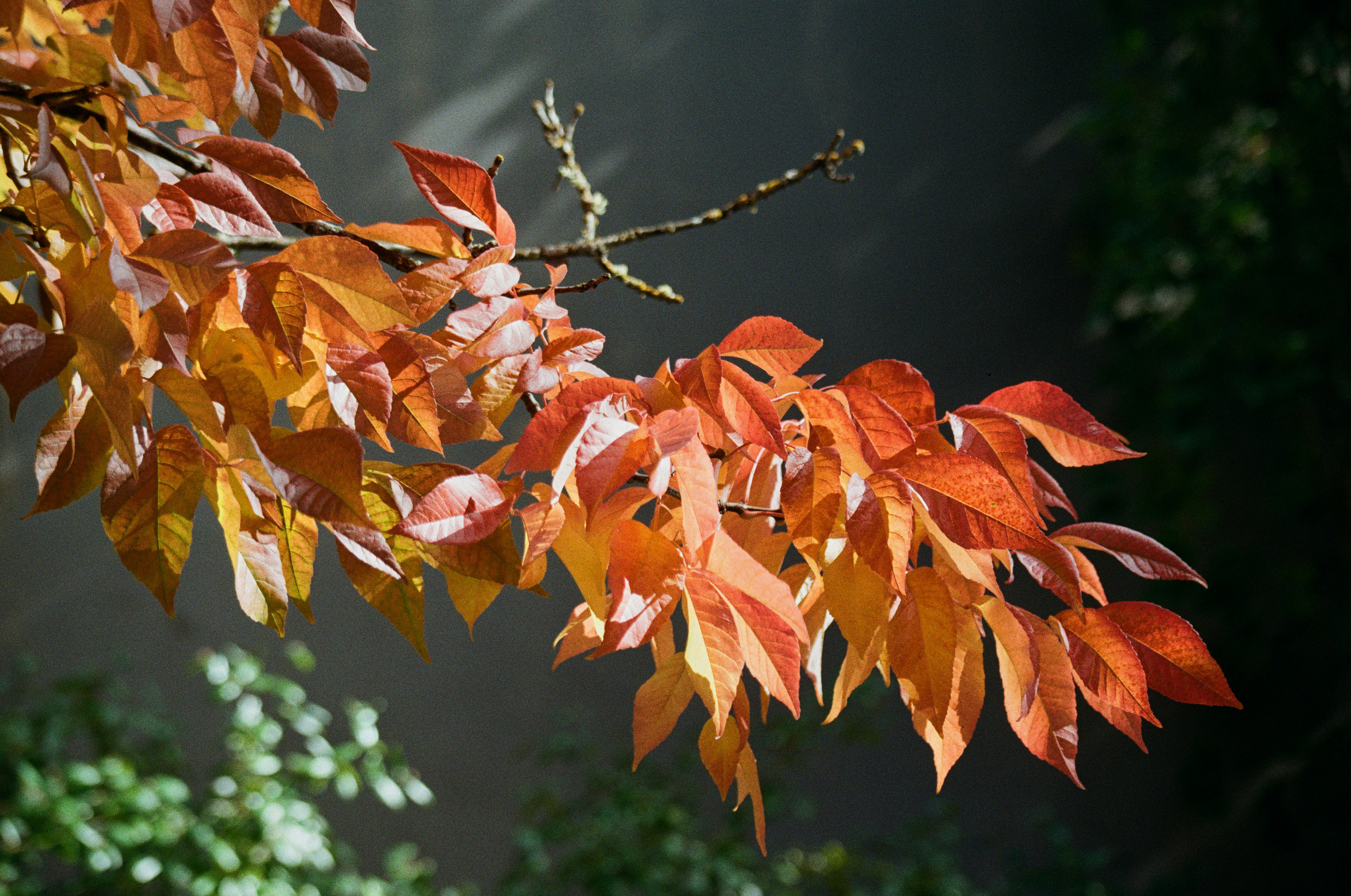 Photo by quietspaces