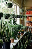 A well-lit room filled with a variety of potted plants. Numerous hanging planters containing trailing greenery are suspended from the ceiling. On a shelf below, larger potted plants with diverse shapes and sizes, including snake plants and flowering varieties, are displayed. To the side, stacks of empty terracotta pots are neatly arranged.