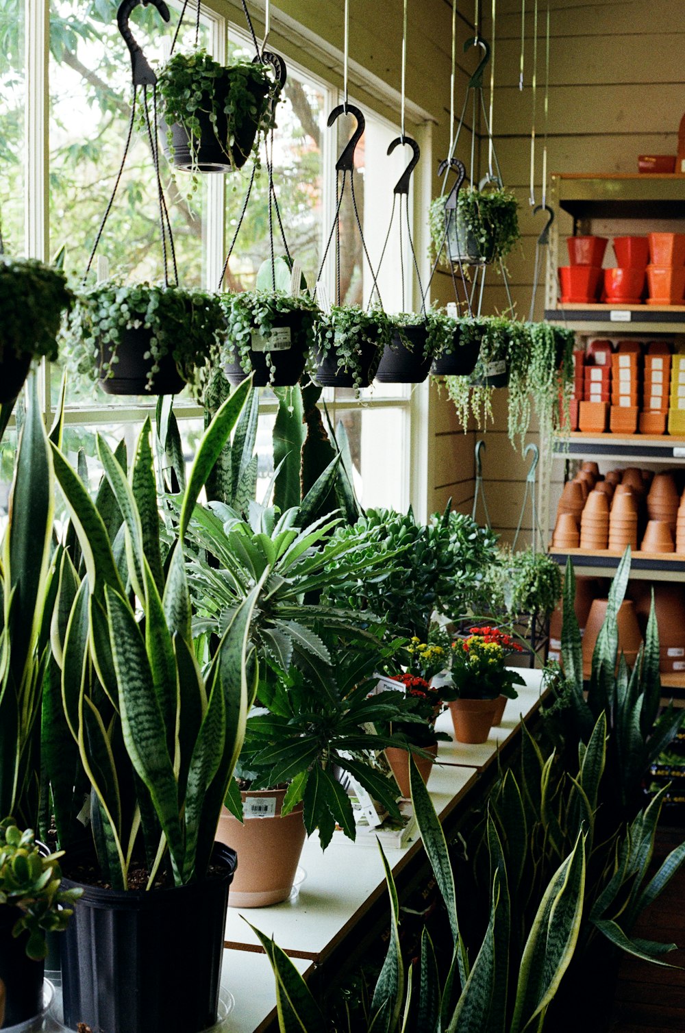 a room filled with lots of potted plants