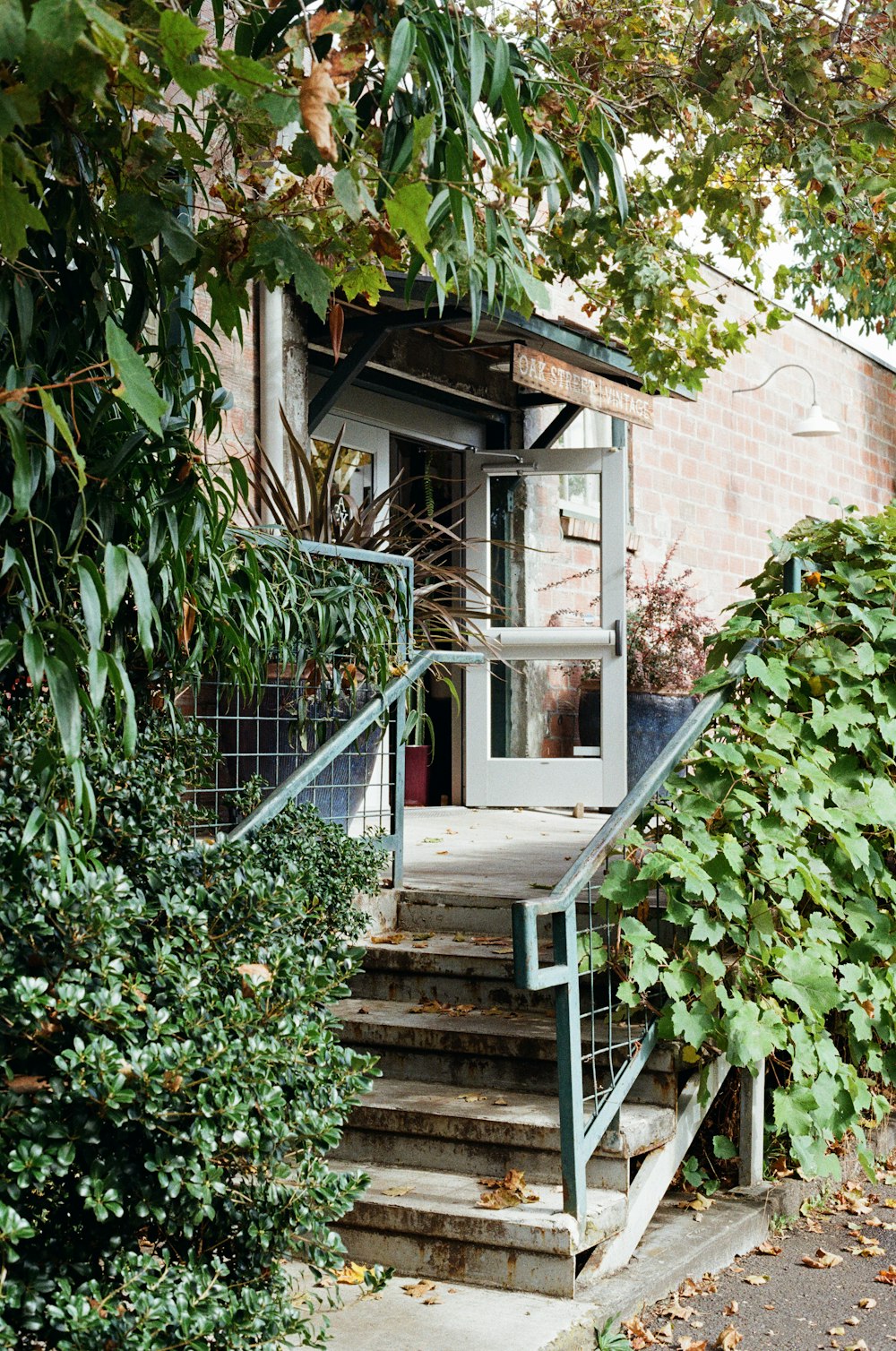 a staircase leading to a small building with a door