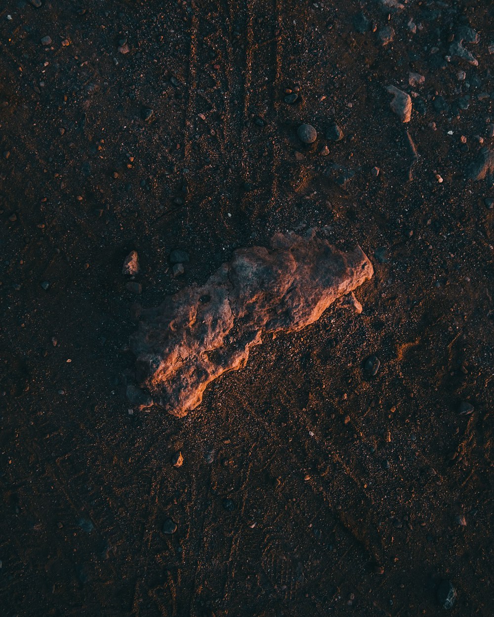 a piece of food that is laying on the ground
