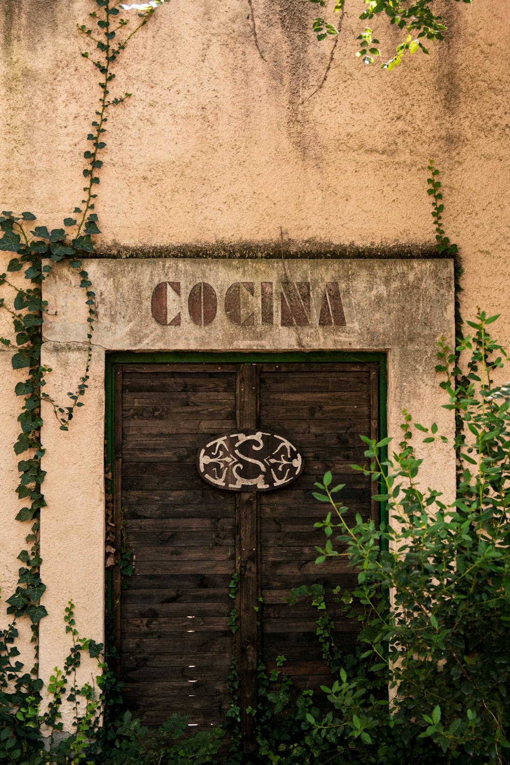 an old door with vines growing around it