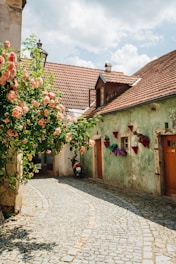 a cobblestone street with a building and a rose bush