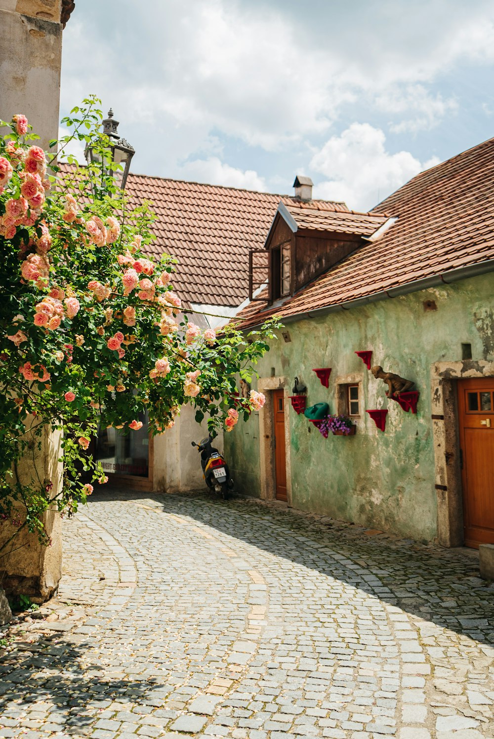 a cobblestone street with a building and a rose bush