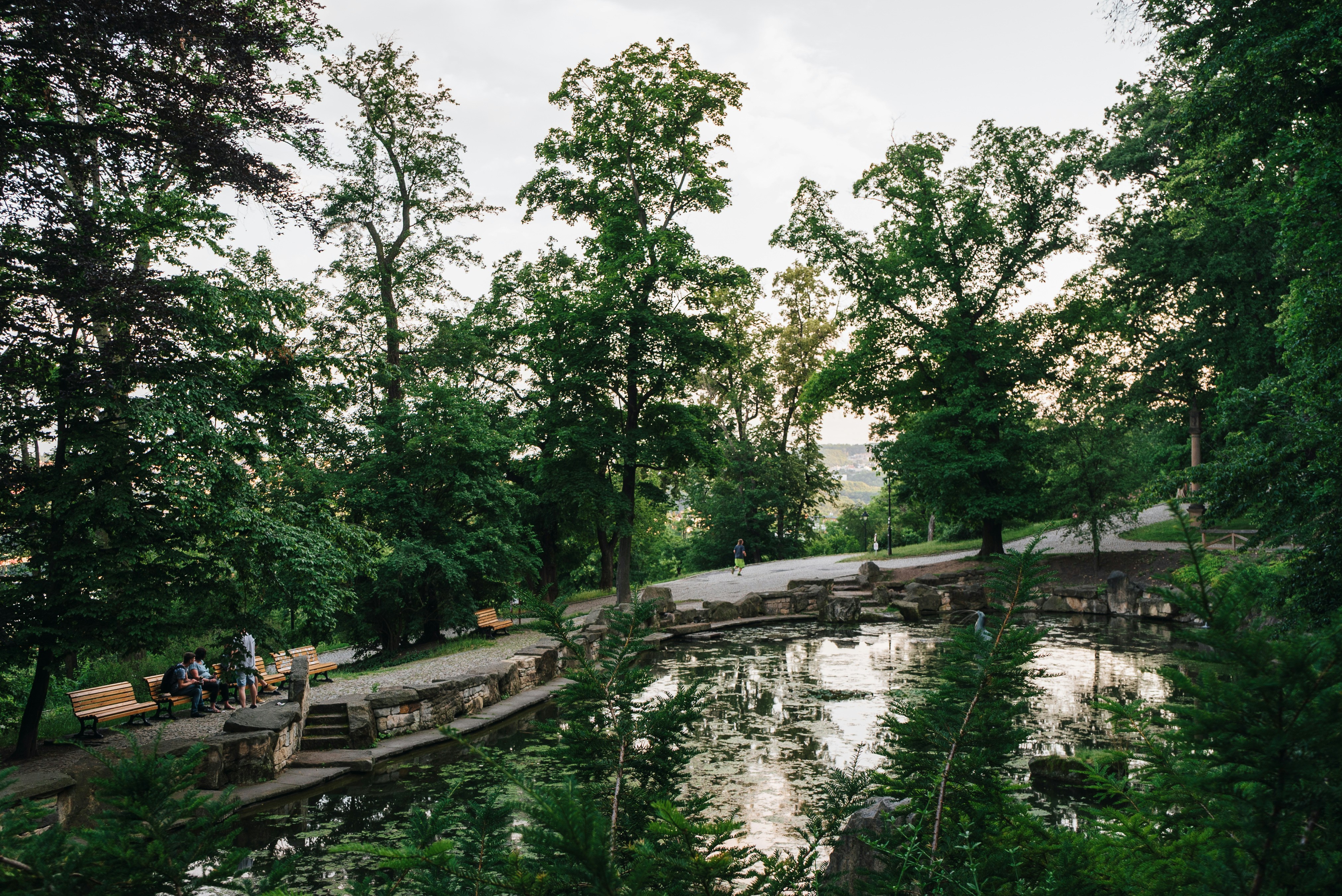 a pond surrounded by trees and benches in a park