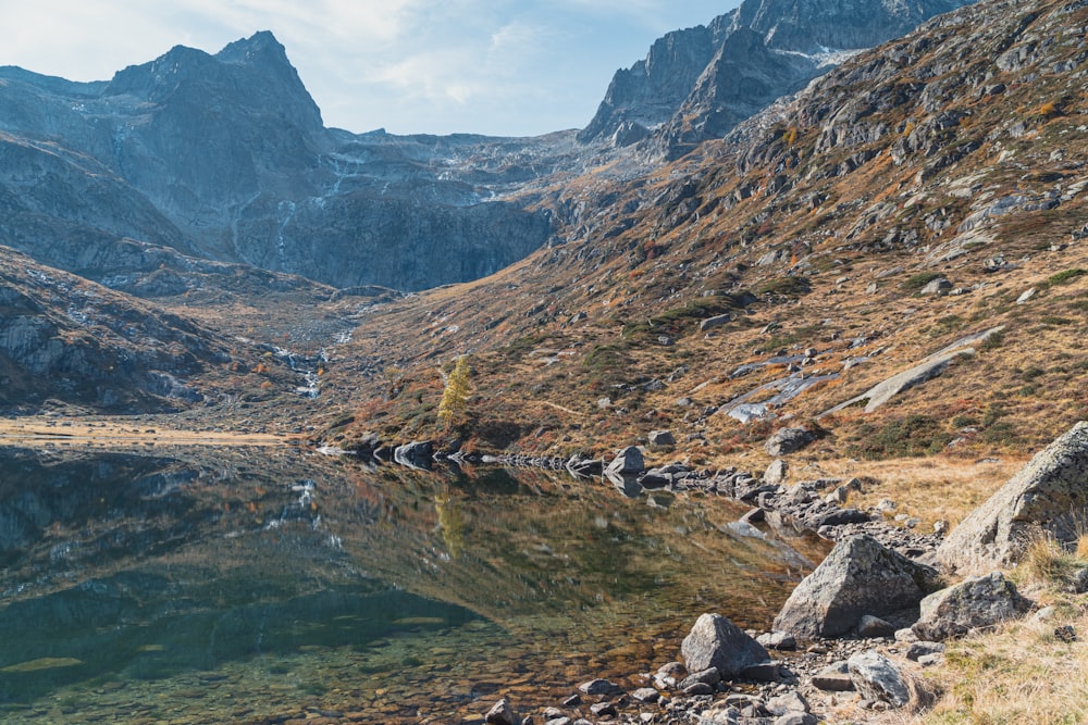 a mountain lake in the middle of a grassy area