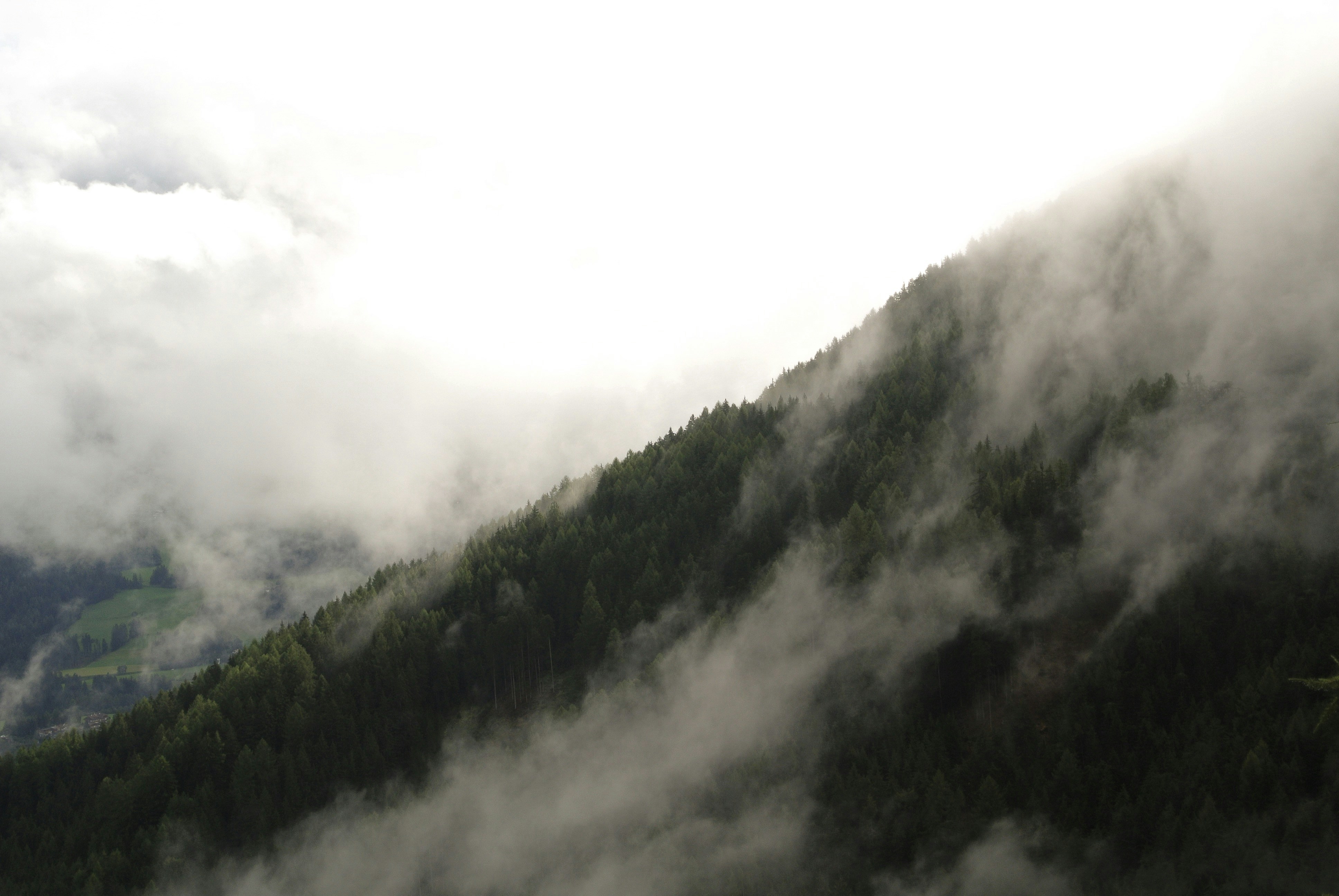 Photo by max_erhardt