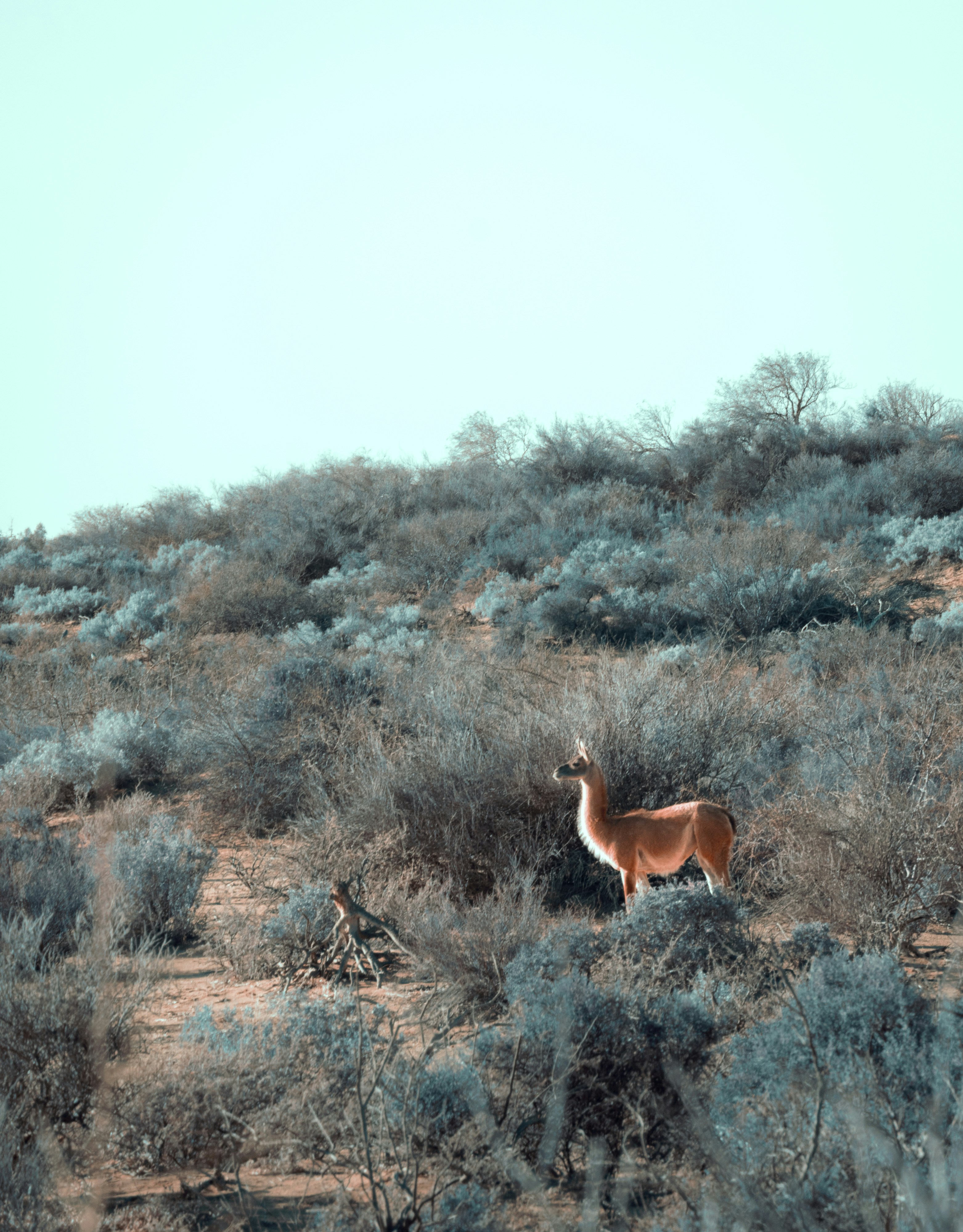 Photo by nature_of_the_experiment