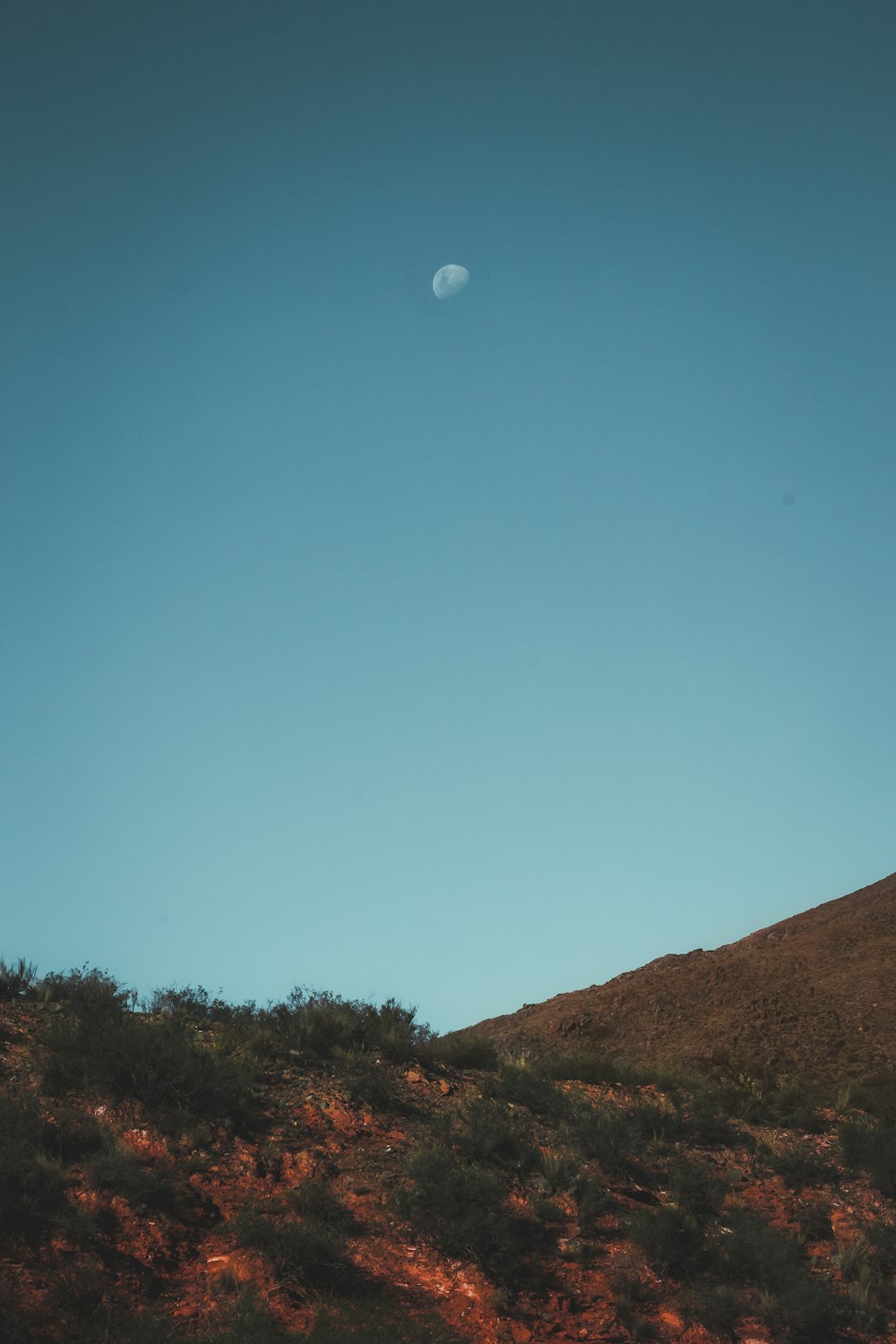 a hill with a tree and a moon in the sky