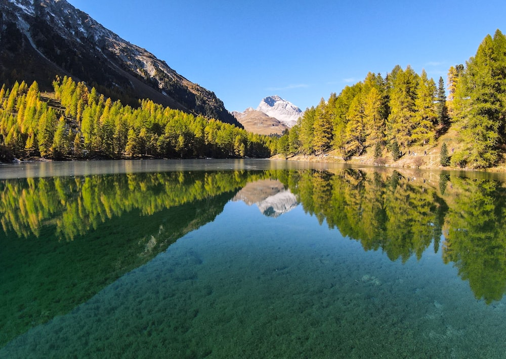 a lake surrounded by trees and mountains