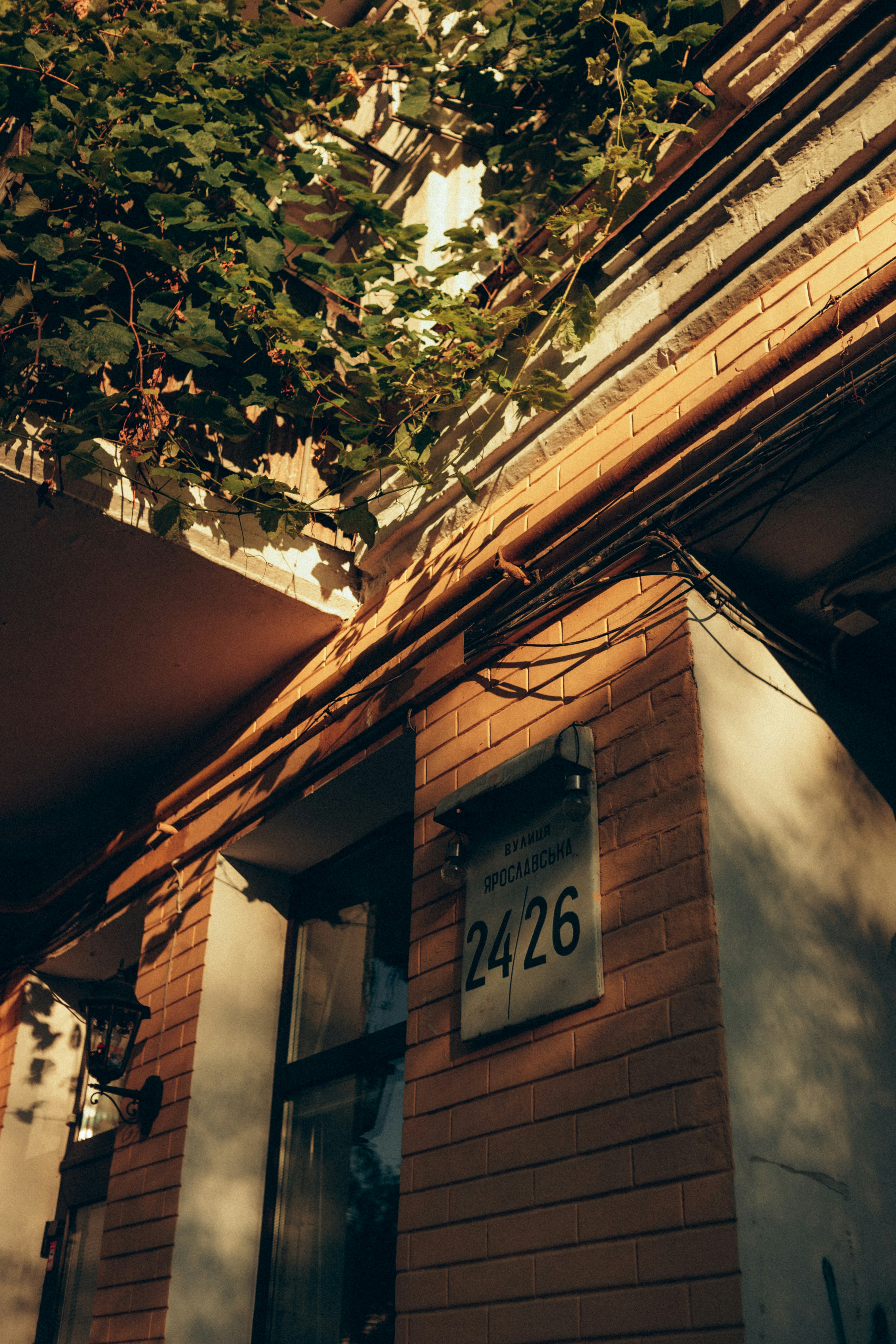 Photo by tobolenkoph