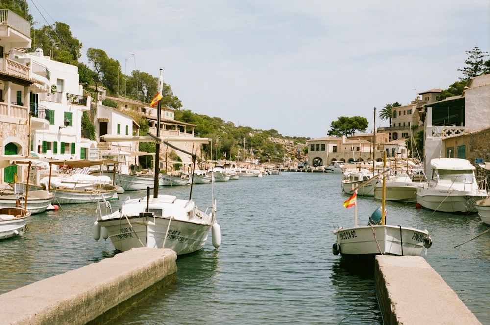 several boats are docked in the water near a city