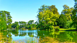 a body of water surrounded by trees and grass