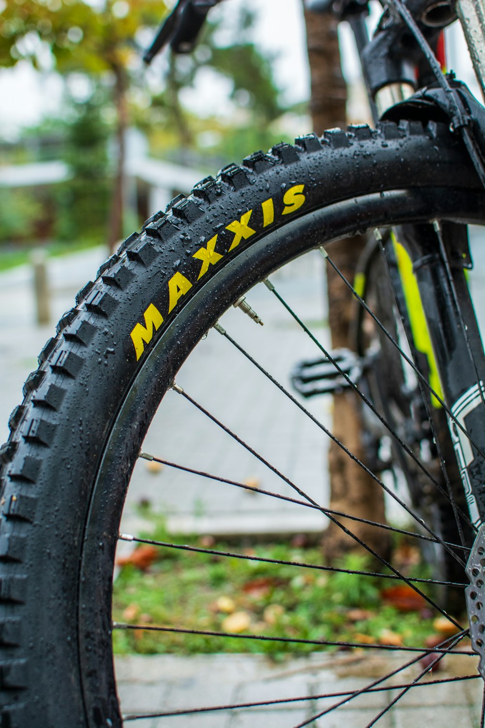 a close up of a bike tire on a sidewalk