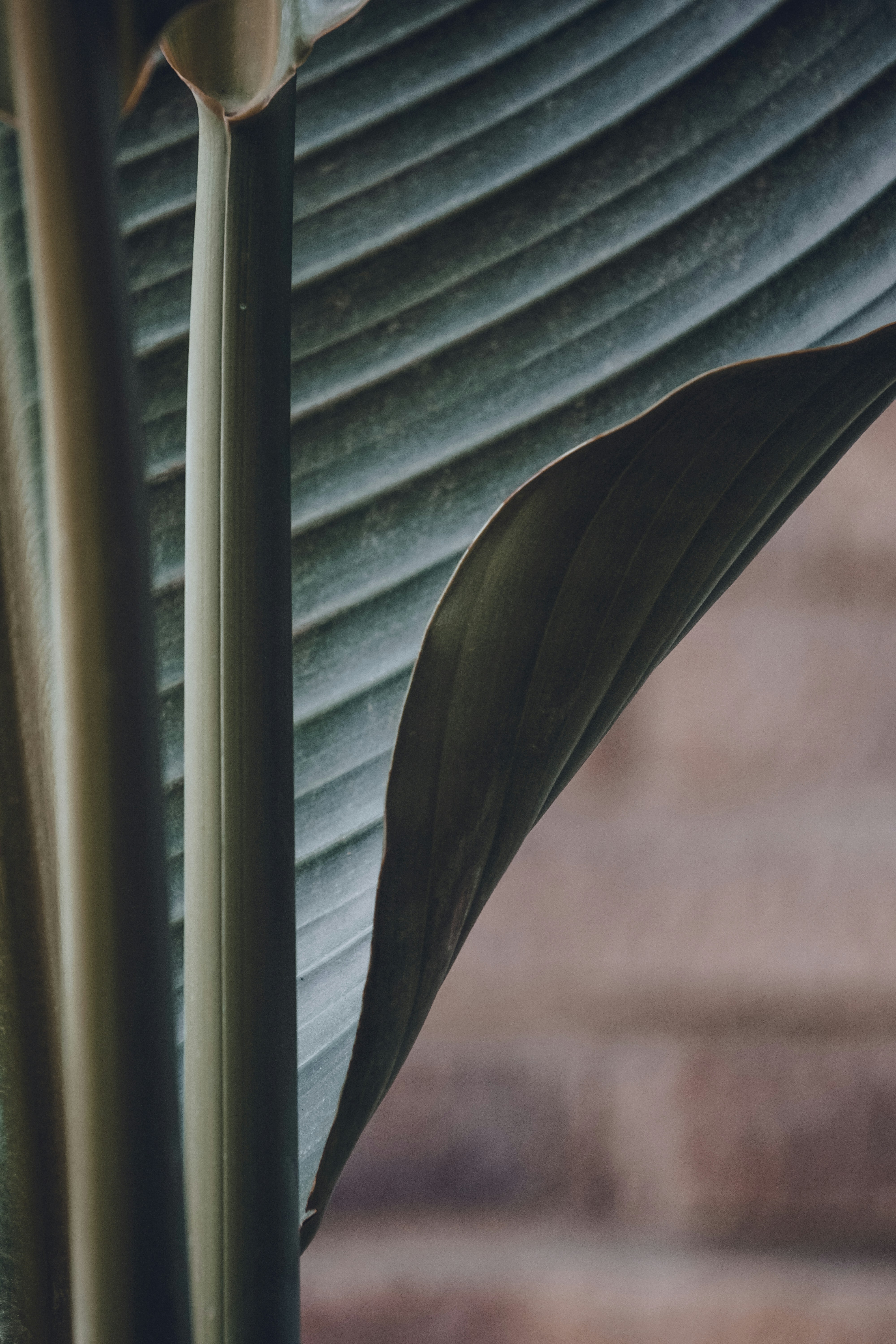 Photo by ja_domenech