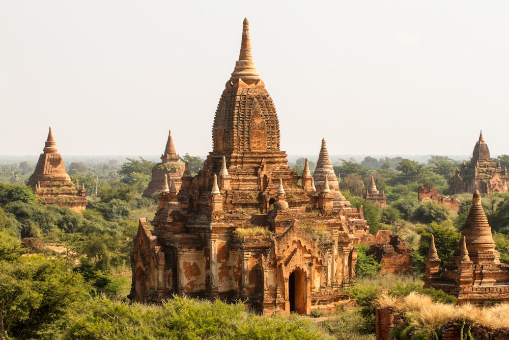 a large group of temples in the middle of a forest