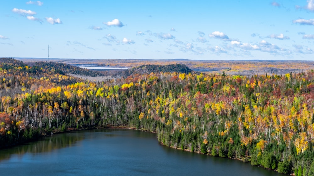 a lake surrounded by a forest filled with lots of trees