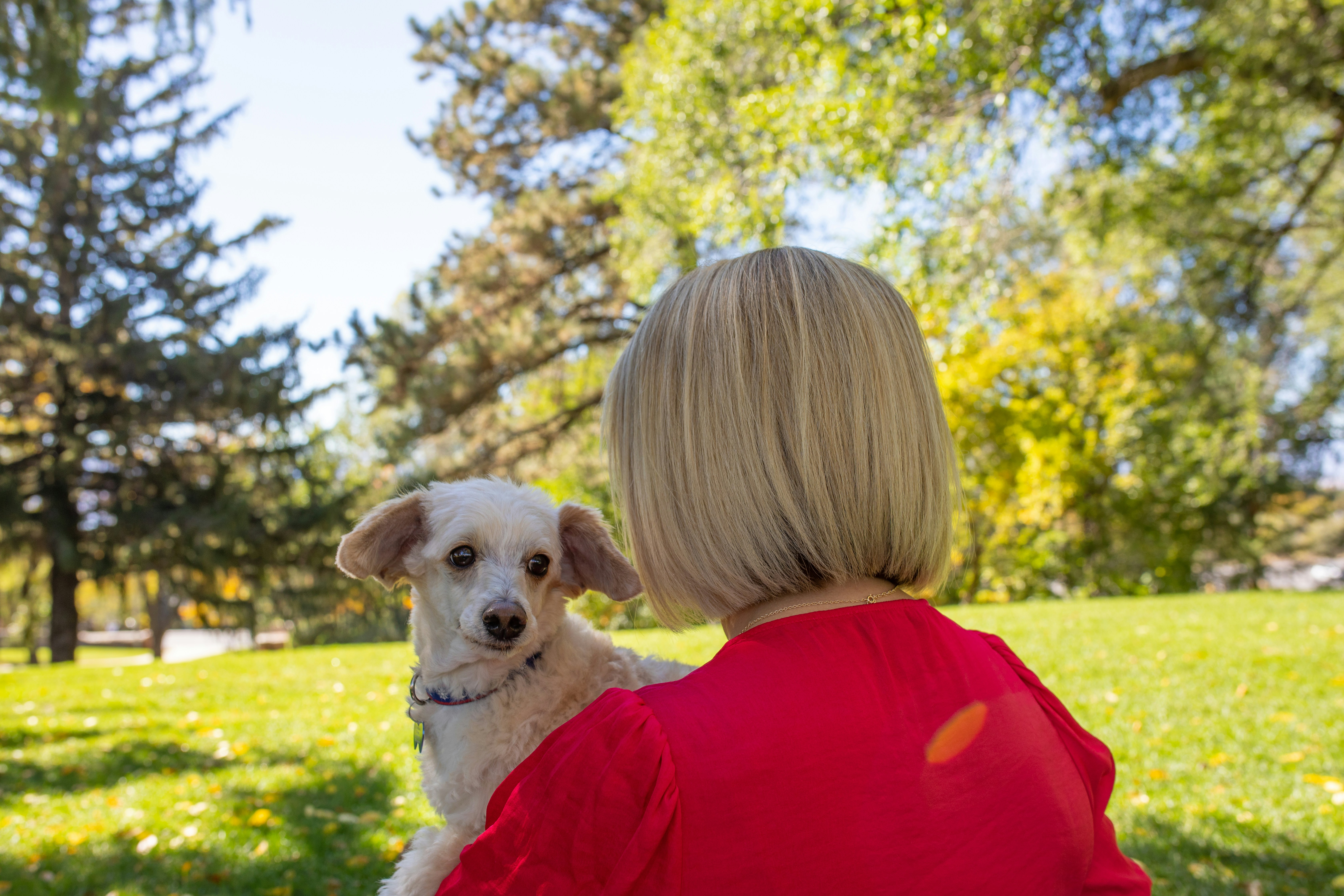 a woman in a red shirt holding a white dog