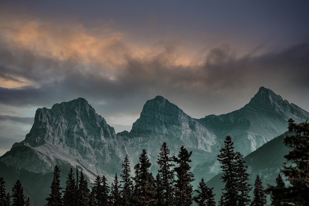 a mountain range with trees in the foreground and a cloudy sky in the background