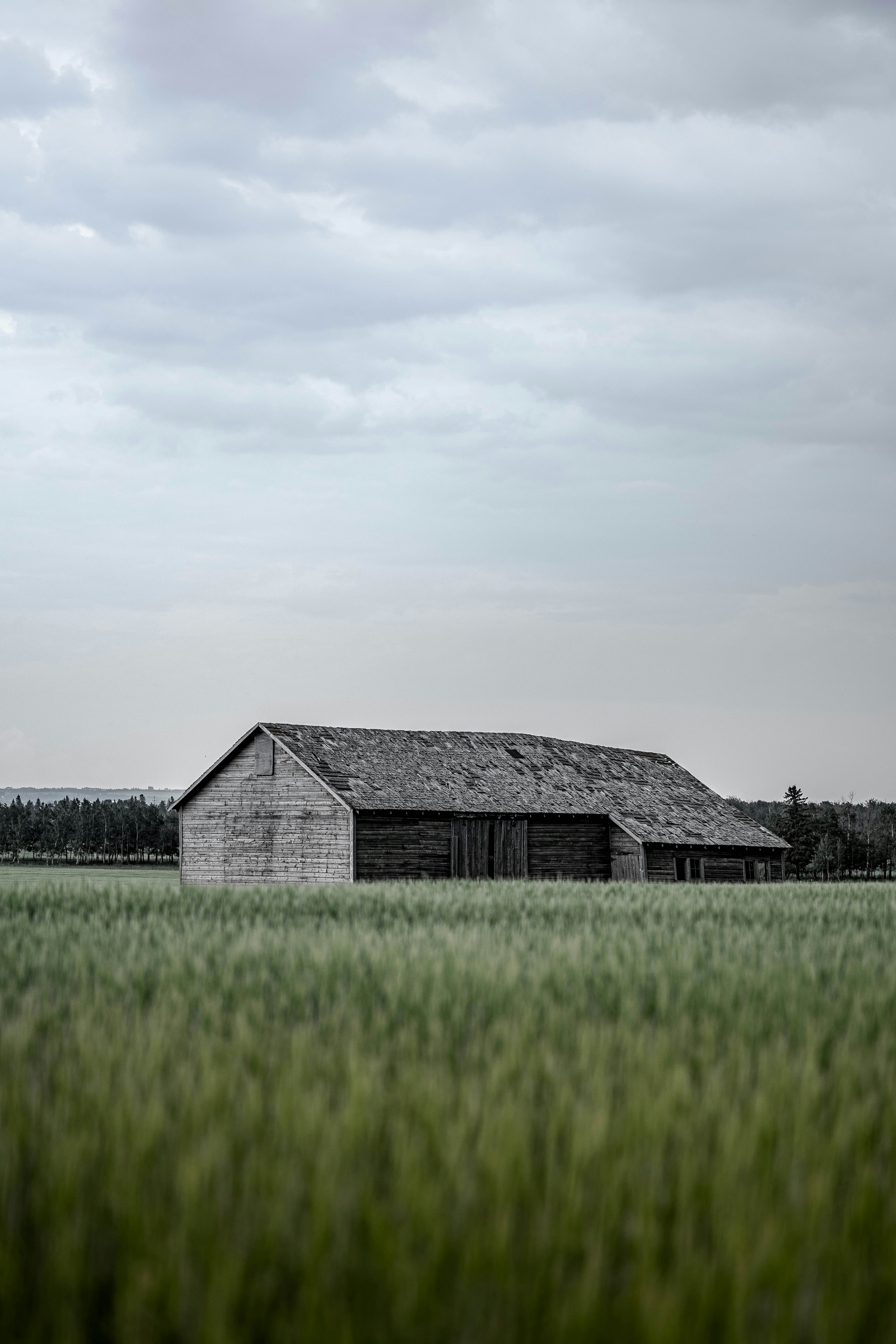 a barn in a field of green grass