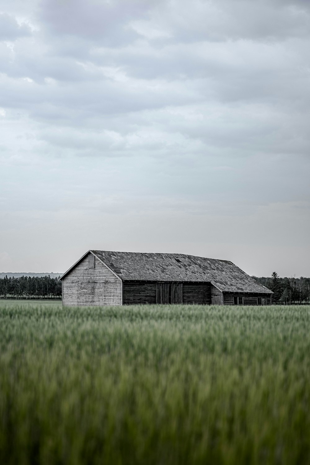 a barn in a field of green grass