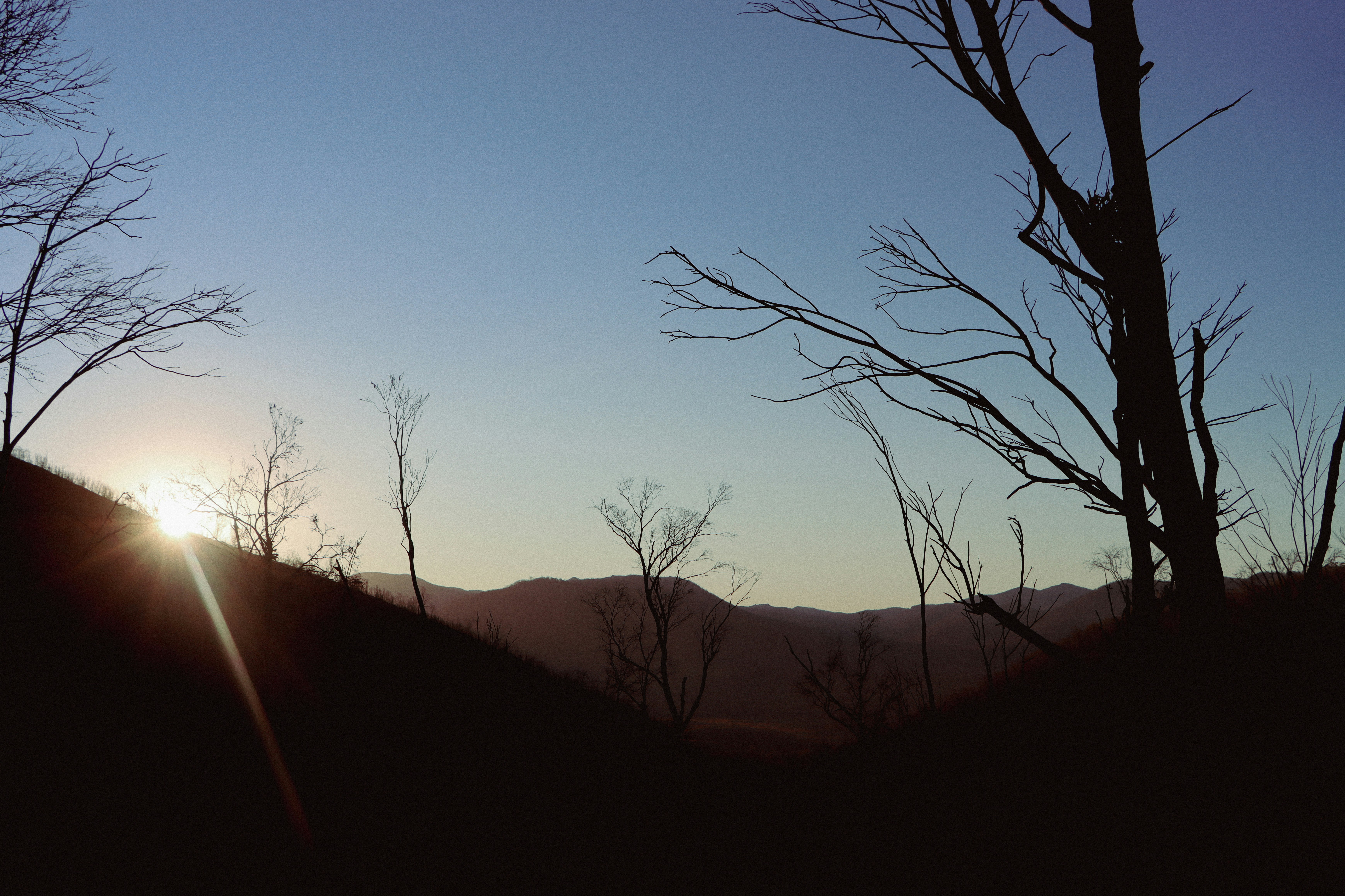 Photo by laraashmilton