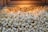 A pile of freshly popped popcorn fills the frame, with a warm, golden light illuminating the fluffy kernels. The texture of the popcorn is detailed, showcasing the irregular shapes and slightly crispy edges.