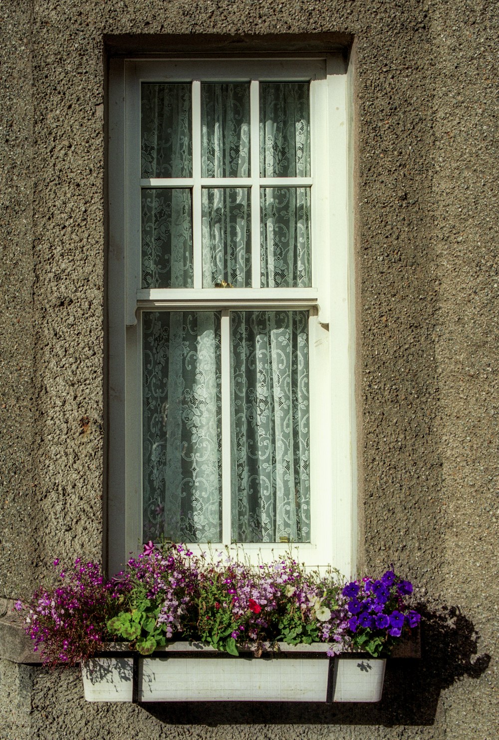 ein Fensterkasten mit Blumen darin