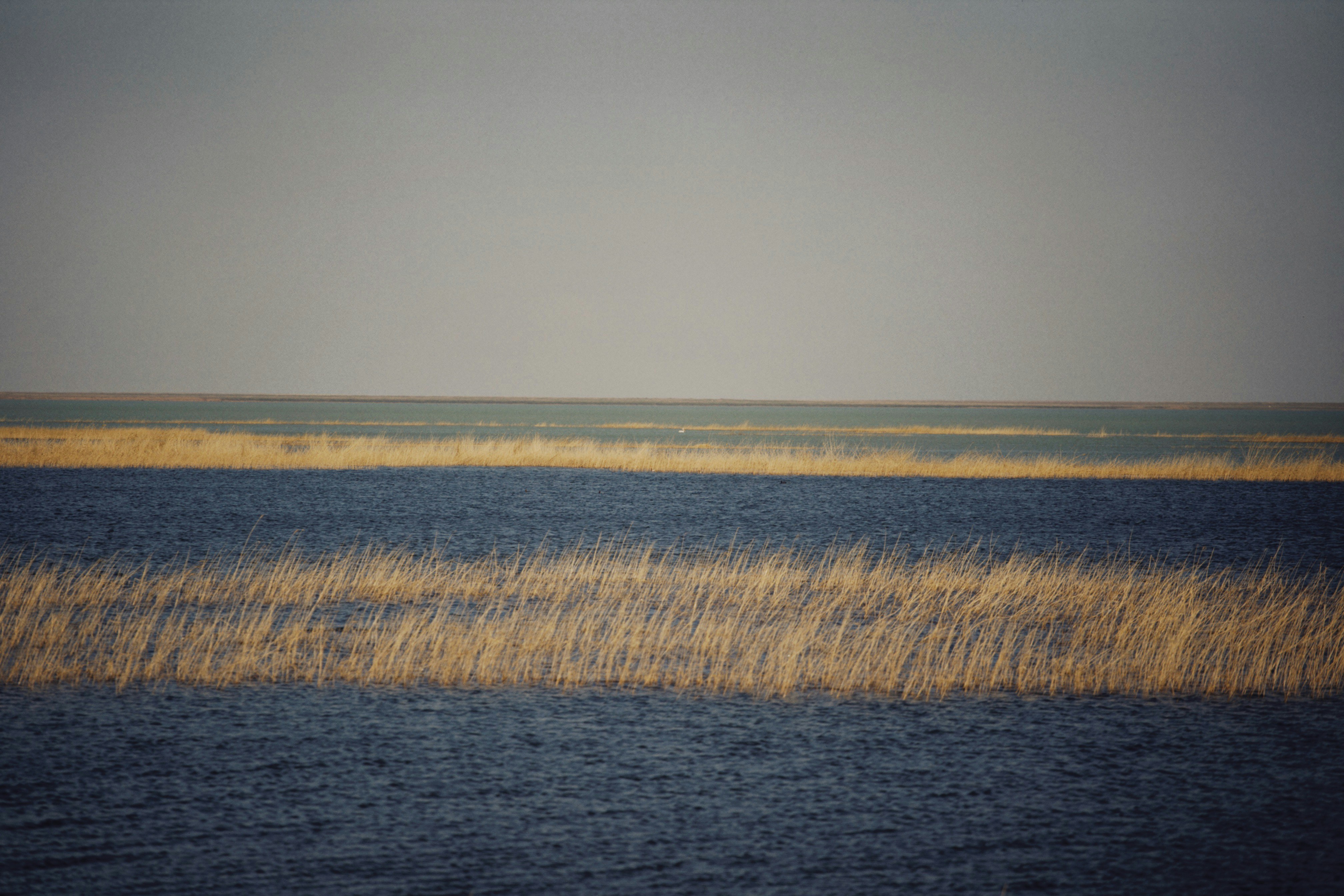 Photo by alexeydemidov