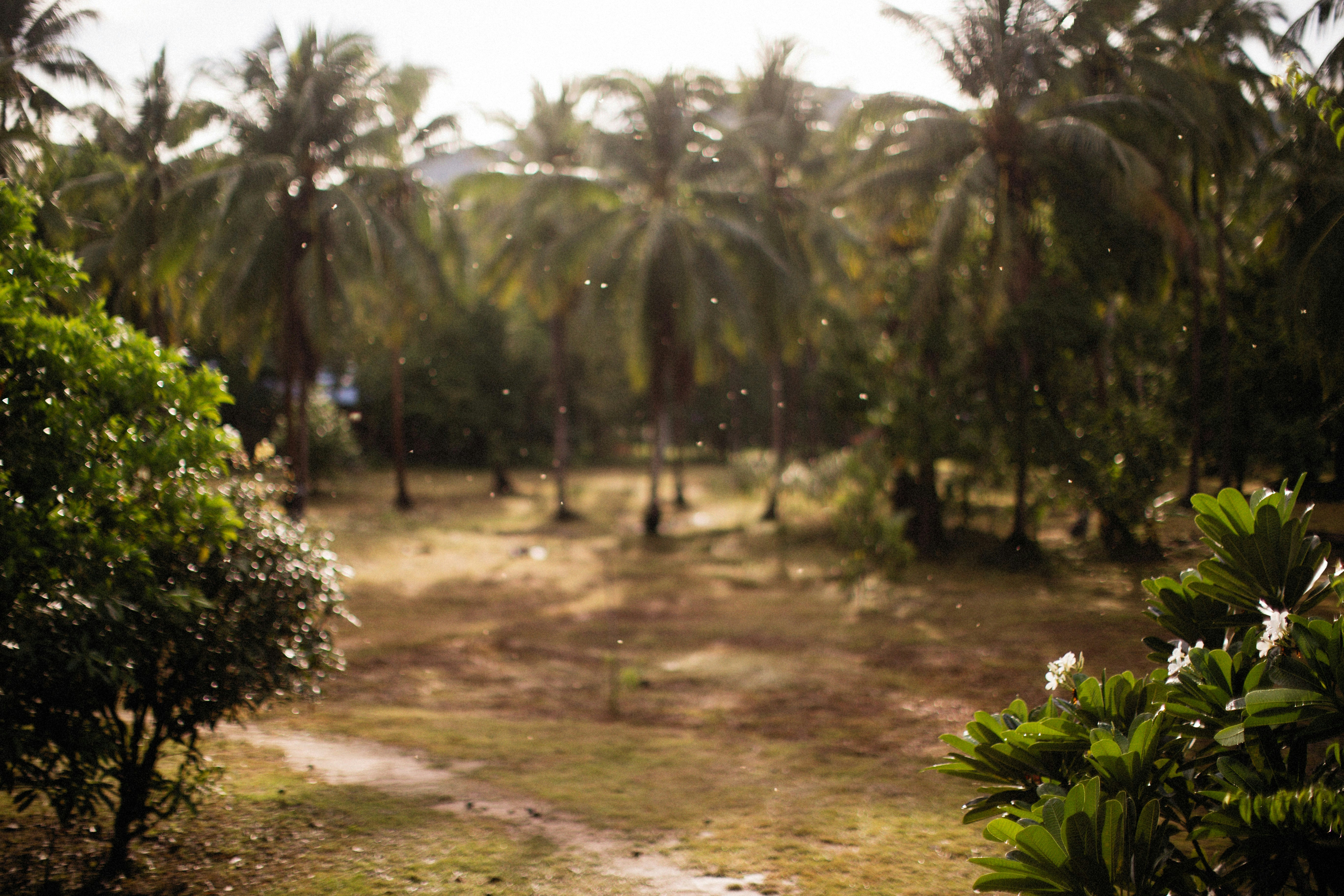 Photo by alexeydemidov