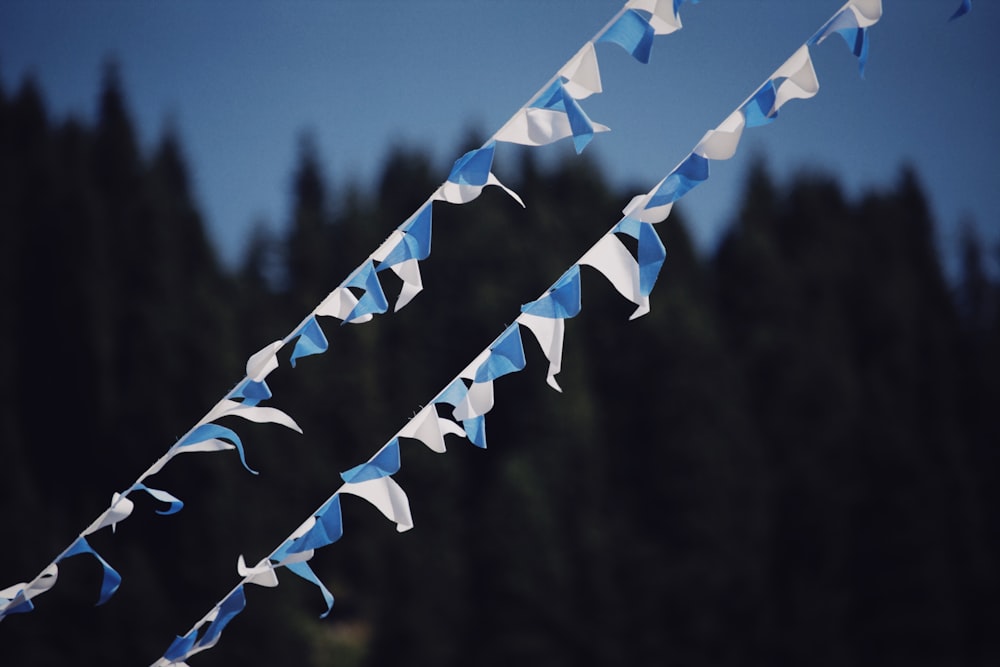 a string of blue and white kites with trees in the background