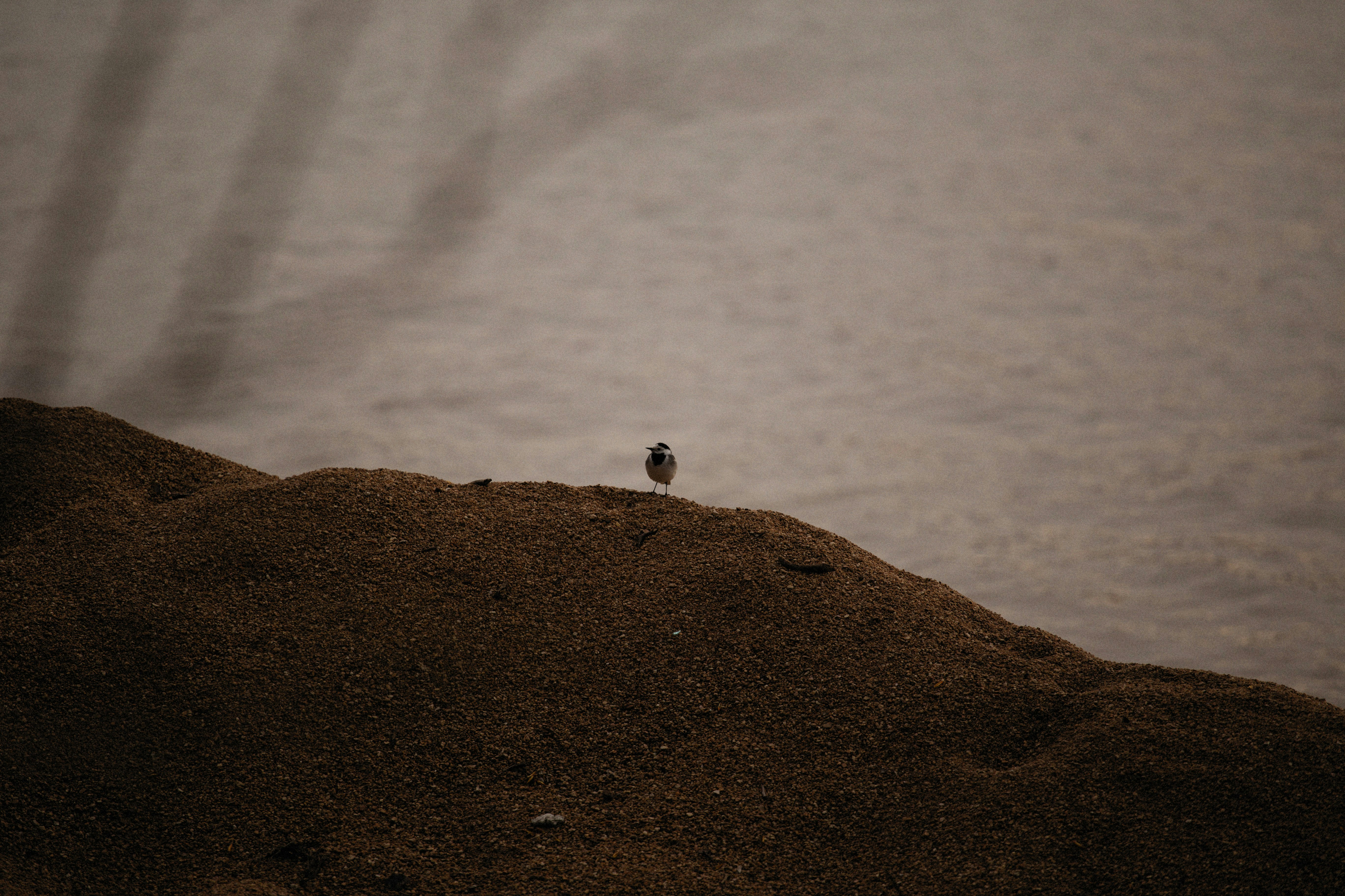 Photo by alexeydemidov