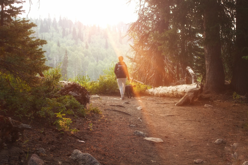 a person walking a dog on a trail in the woods