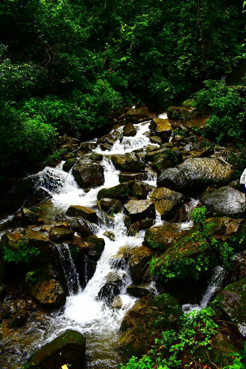 a man standing on a rock next to a river