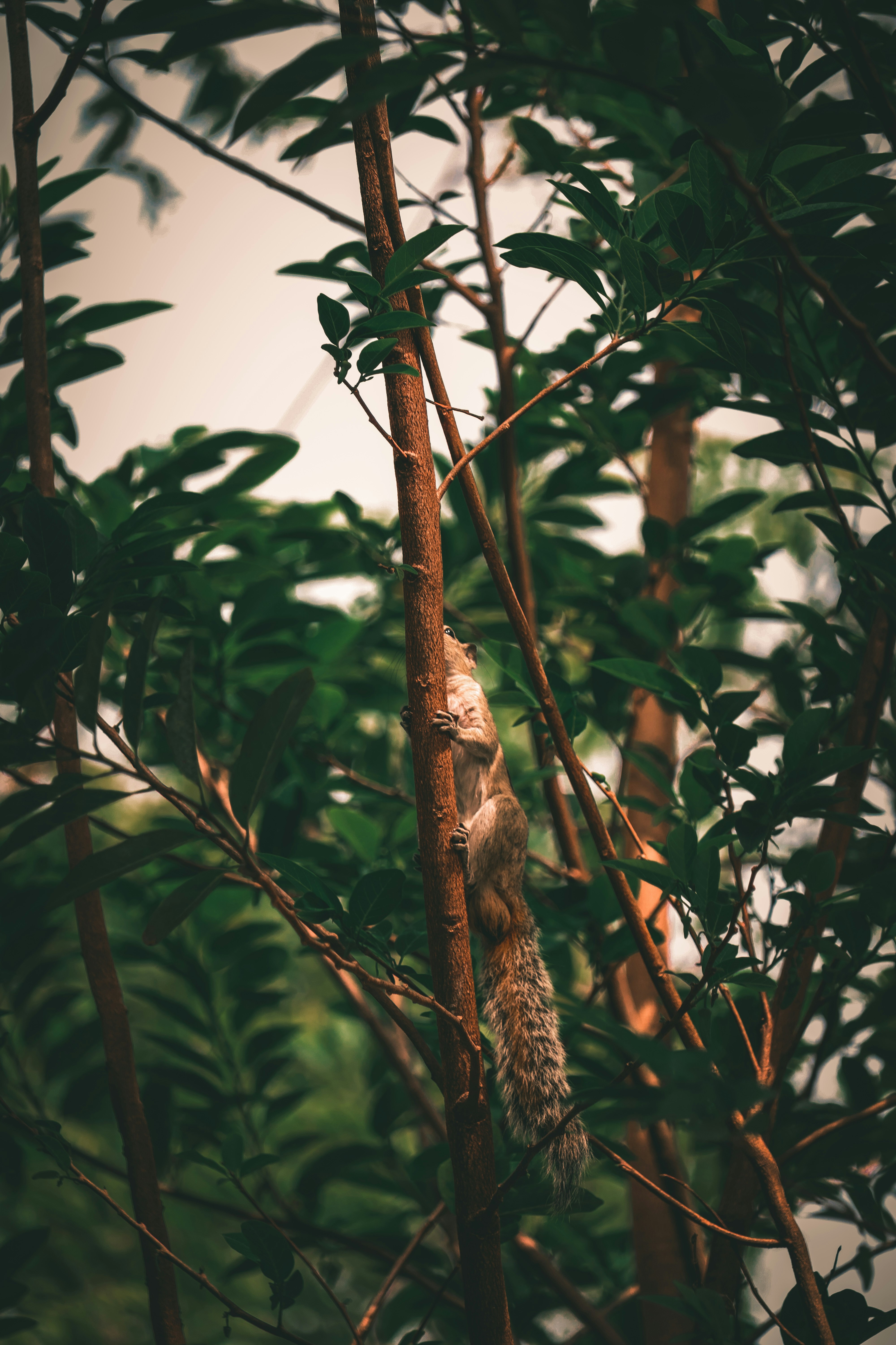 Photo by mariyan_rajesh