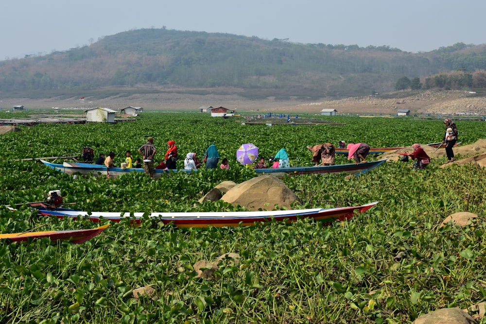 a group of people in a field with boats