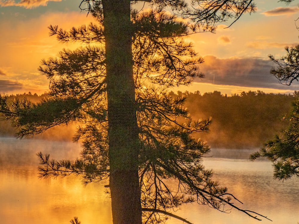 the sun is setting over a lake with trees in the foreground